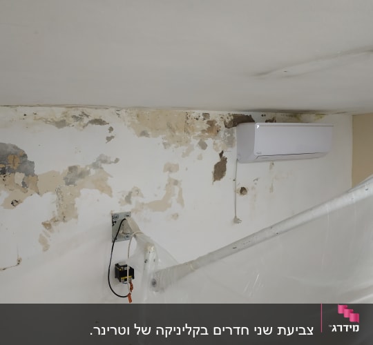 צביעת שני חדרים בקליניקה של וטרינר. 